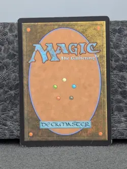 MP - Forest (347) - Foil - Odyssey - Magic The Gathering English Moderately Eng - Image 2