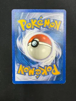 Pokemon Gyarados 11/144 Skyridge Rare Unlimited Wizards ENG Vintage Cards - Image 2