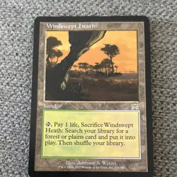 Magic: The Gathering Windswept Heath Land Card Anthony S. Waters Wizards 2002 - Image 1