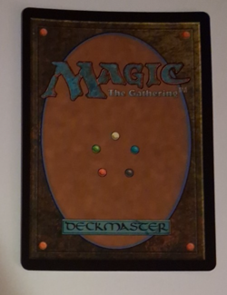 Rainbow Dash Foil EX Secret Lair My Little Pony MTG Magic the Gathering - Image 4