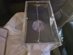 Pokemon GO Pokemon Center Exclusive ETB New Sealed Case Fresh - Image 4