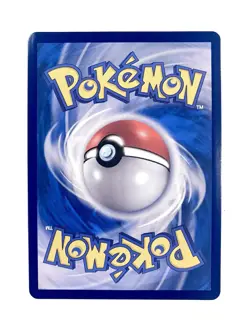 Raging Bolt ex 244/204 Wild Force SAR Korean Pokemon TCG Card NM - Image 2