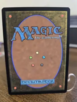 Akiri, Fearless Voyager (Extended Art) Zendikar Rising Regular - Image 2