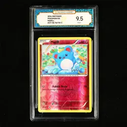 TQG 9.5 MINT+ 2016 Pokemon ENG Marill 76/114 C - Image 2