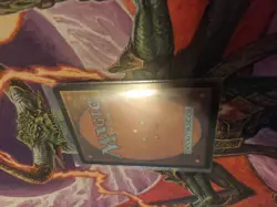 Magic: The Gathering Overgrown Tomb Foil Land Card Black Green English - Image 5