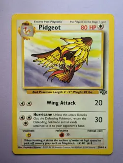 PIDGEOT 24/64 HP JUNGLE Pokemon Rare Unlimited - Image 1