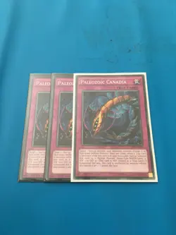 YUGIOH 3x Common Paleozoic Canadia Mixed Sets Mixed Editions - Image 1