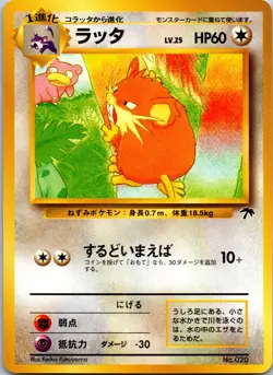 Raticate 020 Southern Islands NM Pokemon Card TCG Non-Holo - Image 1