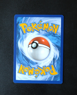 Pokemon Card TCG - Terapagos EX 173/142 - Stellar Crown - Hyper Rare - NM ⭐ - Image 4