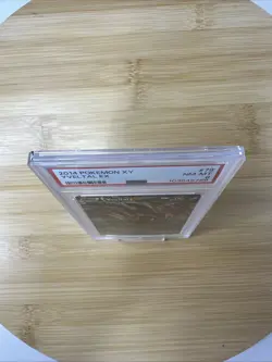 2014 Pokemon XY Yveltal EX 79/146 XY NM-MT PSA 8 - Image 3