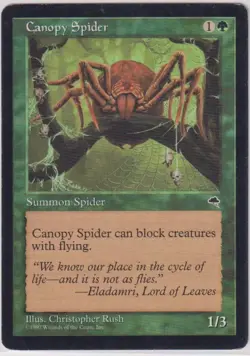1997 Canopy Spider Tempest MTG Magic the Gathering LP - Image 1