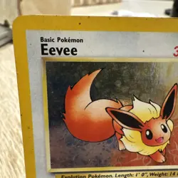Pokemon Eevee TCG #11 Black Star Holo Promo Card 1999 WOTC HP - Image 4