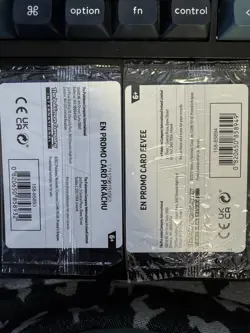 Pokemon Center Sealed Pokemon Together Pikachu and Eevee set, One of Each - Image 5