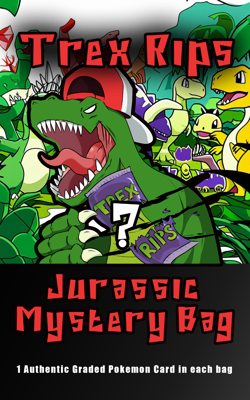 #744 - Mystery Pokemon Slab Bag - Image 1