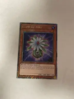 Glow-Up Bulb (Platinum Secret Rare) 1st Edition Platinum Secret Rare Quarter Cen - Image 1