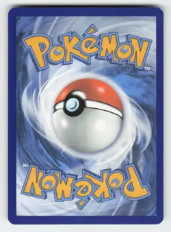 Quaquaval - (Prerelease) 005 NM Holo SVP SV: Scarlet & Violet Promo Cards - Image 2