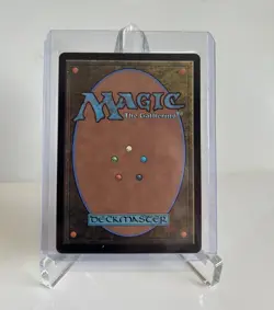 Misty Rainforest - Modern Horizons 2 (MH2) - English #250 - Excellent - Image 2