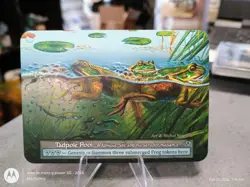 Unique Site Tadpole Pool - Beta NM Sorcery: Contested Realm Non-Foil - Image 1