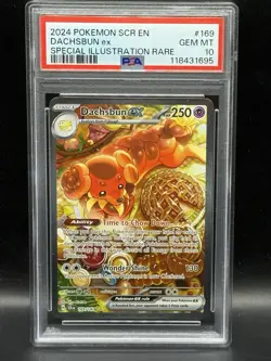 2024 POKEMON SCR EN-STELLAR CROWN SPECIAL ILLUSTRATION RARE DACHSBUN EX PSA 10 - Image 1