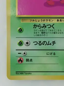 Tangela Japanese Pokemon card Vending Machine Cards Promo NO.114 LV.15 HP50 F/S - Image 5