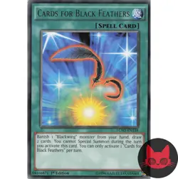 Yugioh Cards for Black Feathers LC5D-EN139 Rare 1st Edition LP - Image 1