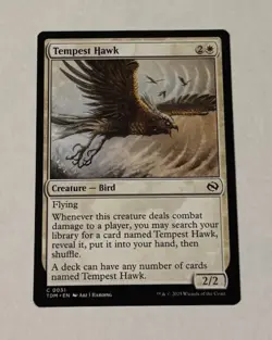 MTG Tempest Hawk - Tarkir: Dragonstorm LP - Image 1