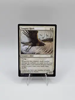 Tempest Hawk Tarkir: Dragonstorm Regular Near Mint - Image 1
