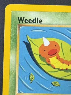 Pokemon Weedle 70/75 - Neo Discovery - NM Common - 1st Edition WotC Vintage - Image 2