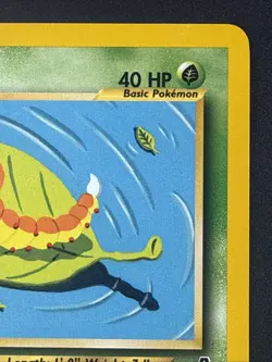 Pokemon Weedle 70/75 - Neo Discovery - NM Common - 1st Edition WotC Vintage - Image 3