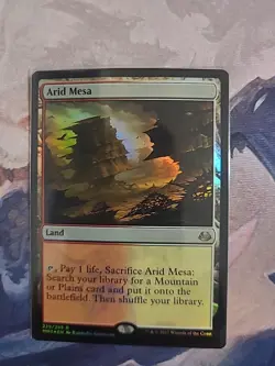 MTG Modern Masters Arid Mesa Foil LP - Image 1