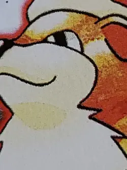 GROWLITHE Pokemon Card - WOTC - 1st Edition - Base Set - Shadowless - 28/102 NM - Image 4