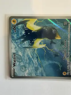 Pokemon - Wattrel 178/167 Illustration Rare Twilight Masquerade NM - Image 4