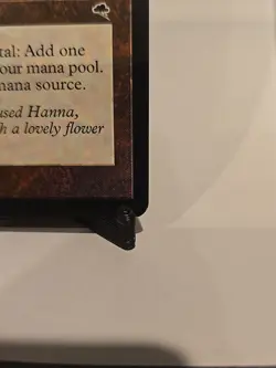 Lotus Petal Tempest Regular Card Set Magic the Gathering. Heavily Played Cond - Image 3