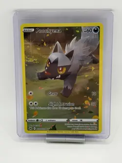 Pokemon TCG Poochyena GG33/GG70 Crown Zenith Galarian Gallery Holo Card - Image 1