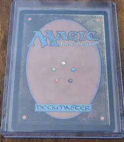 Leonardo, Sewer Samurai Borderless Gold-stamped Signature TMNT MTG 30 - Mint - Image 2