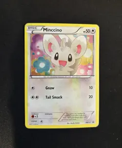 Minccino - Pokemon - Black Star Promo - BW13 - MP - Image 1