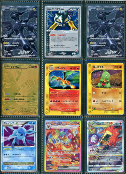 Pokemon Japanese Binder Collection - Vintage, Modern, Old Back - Very Rare - Image 1