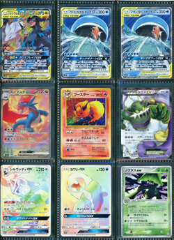 Pokemon Japanese Binder Collection - Vintage, Modern, Old Back - Very Rare - Image 5