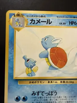 1999 Japanese Southern Islands Wartortle LP Promo Card - Image 2