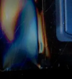 2023 MAGIC THE GATHERING JP PROMO #0002 BIRD TOKEN CREATURE - Image 4