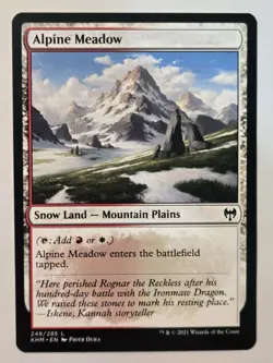MTG Alpine Meadow Kaldheim 248/285 Regular Common - Image 2