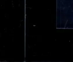 2025 POKEMON MEP BLACK STAR PROMO FIRST PARTNER ILLUSTRATION COLL #041 CHIMCHAR - Image 4