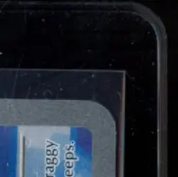 2025 POKEMON MEP BLACK STAR PROMO FIRST PARTNER ILLUSTRATION COLL #041 CHIMCHAR - Image 5