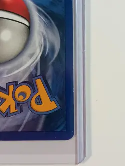 Pokemon Corsola 102/165 Reverse Holo Expedition e-Series WOTC 2002 NM - Image 5