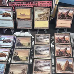 Magic The Gathering Tempest Basic Land Set Of 25 Vintage COMMANDER CUBE LEGACY - Image 4