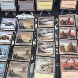 Magic The Gathering Tempest Basic Land Set Of 25 Vintage COMMANDER CUBE LEGACY - Image 5