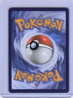 SWSH: Sword & Shield Promo Cards #SWSH144 Greninja Star - Image 2