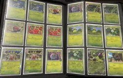 Pokemon Destined Rivals Base Master Set - C, UC, Rare, Holos, RH & EX- 347 Cards - Image 5