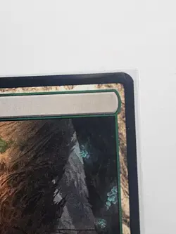 Overgrown Tomb #266 | Lorwyn Eclipsed MTG Shock Land | NM/M - Image 3