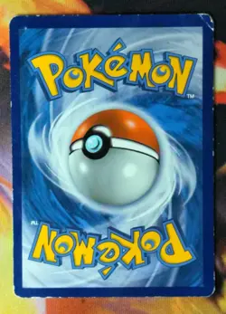 Zigzagoon 11/12 DMG McDonald's Confetti Holo 2015 Pokemon Card - Image 2